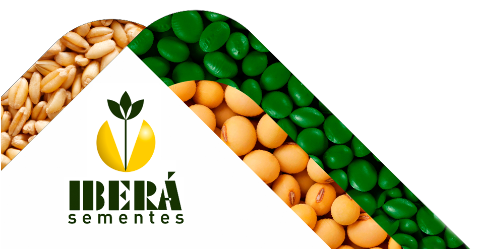 logo ibera